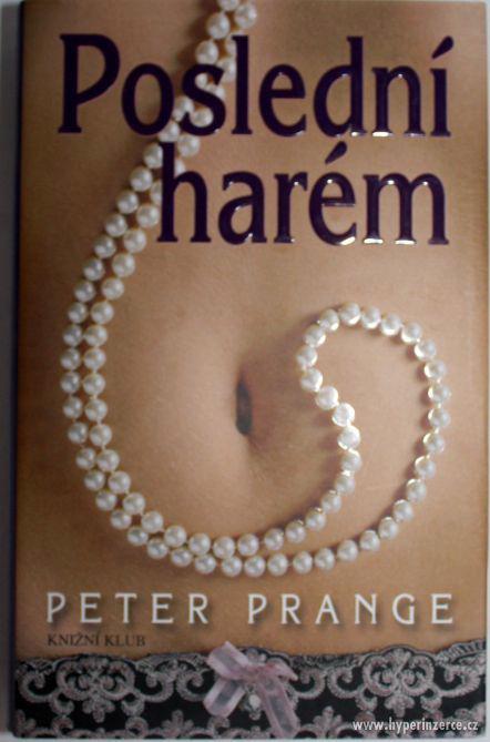 Poslední harém, Peter Prange - foto 1