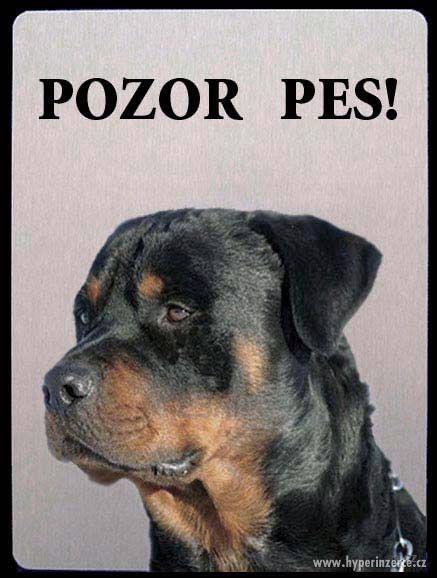 Luxusní hliníková tabulka POZOR PES Rotvajler, Rottweiler