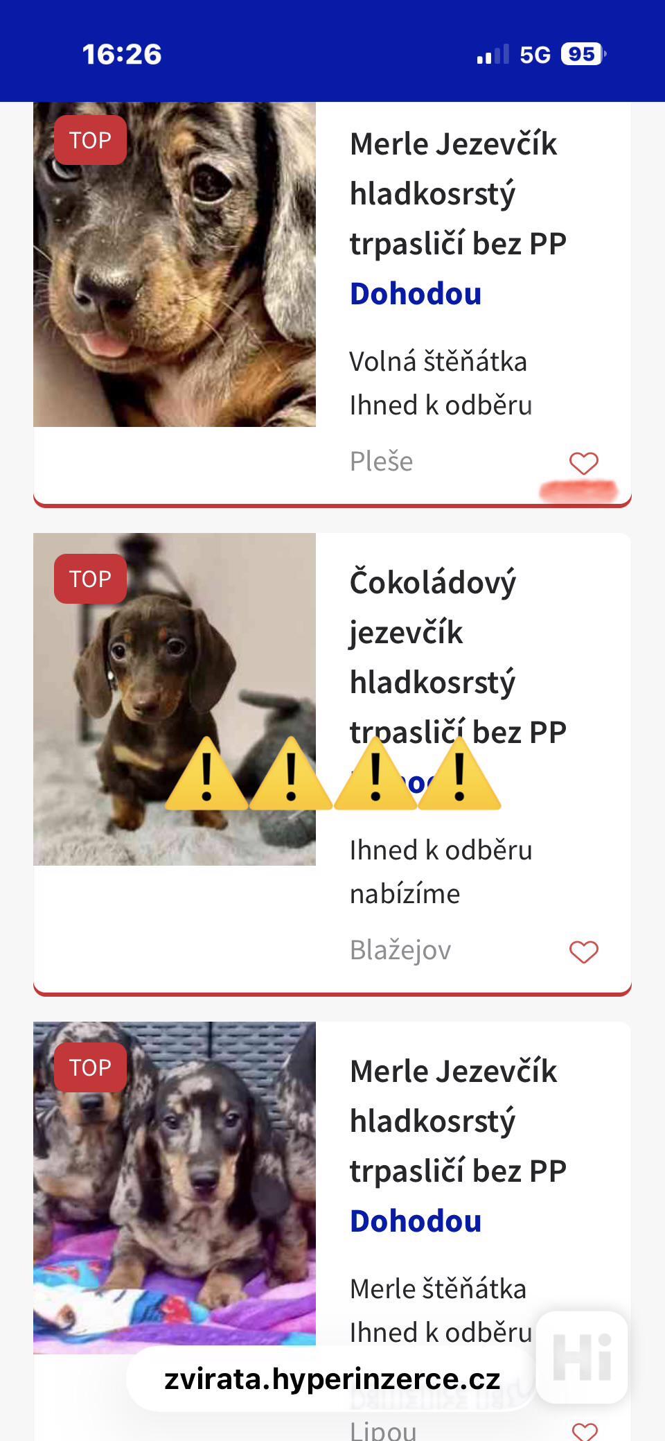 Jezevcik-PODVODNICI  - foto 1