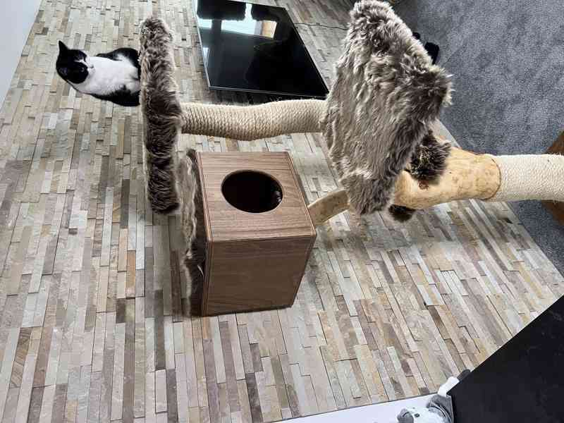 Kočičí stromy  - foto 3