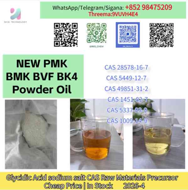 NEW PMK BMK CAS 5449-12-7 & CAS 1451-82-7 High Purity Supply - foto 5