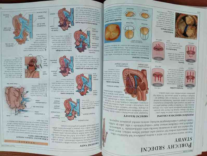 Různé dětské knihy a encyklopedie - foto 37