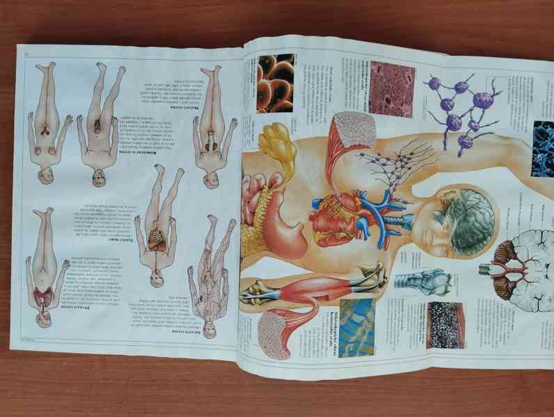 Různé dětské knihy a encyklopedie - foto 38