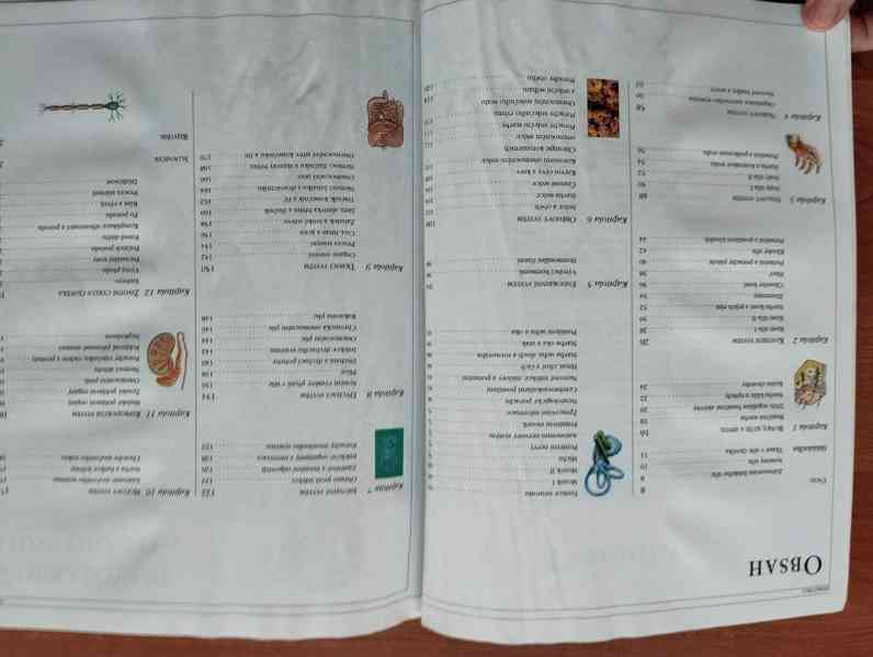 Různé dětské knihy a encyklopedie - foto 39