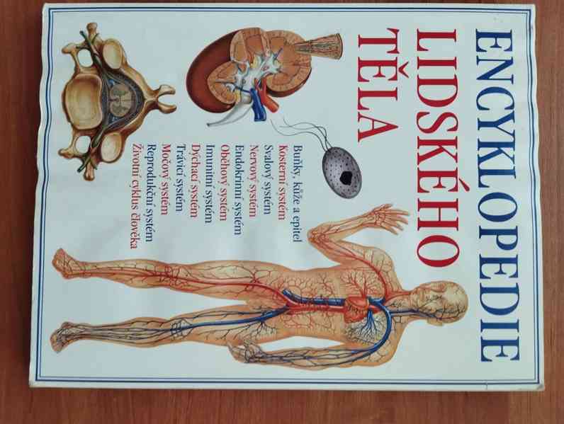 Různé dětské knihy a encyklopedie - foto 36