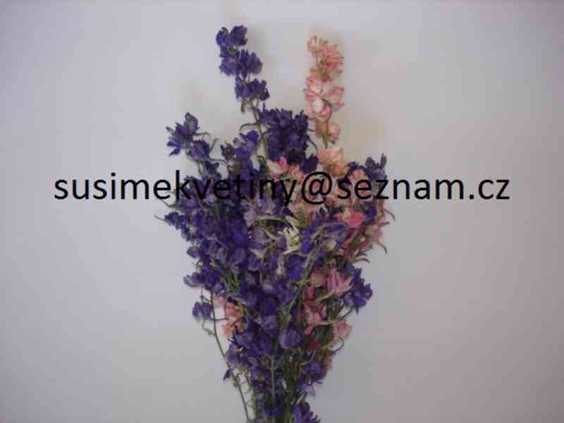 Sušené květiny - po celý rok - foto 18
