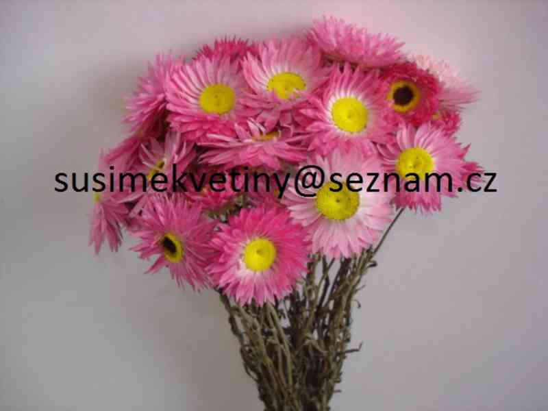 Sušené květiny - po celý rok - foto 3