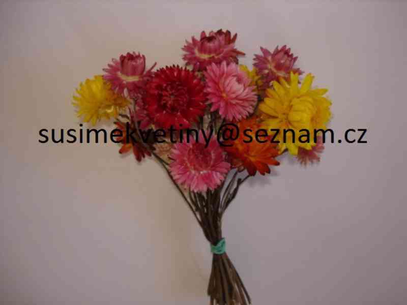Sušené květiny - po celý rok - foto 24
