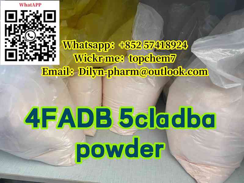 Buy online 5cladba powder 4fadb ADBB Precursors PMK BMK - foto 4
