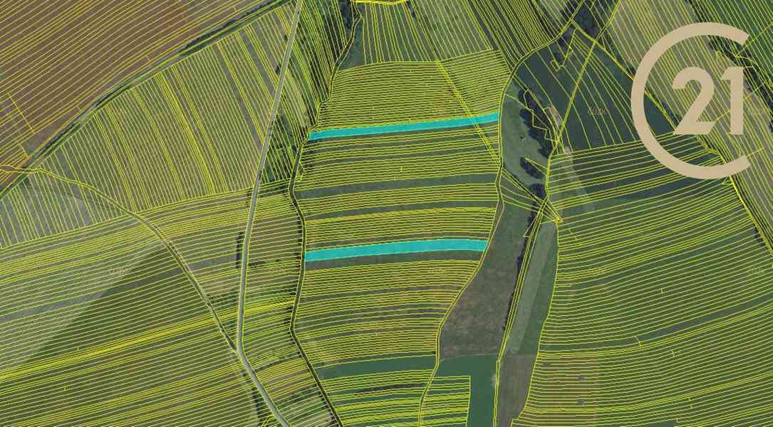Suchov, zemědělské pozemky, 11 063 m2 - foto 1