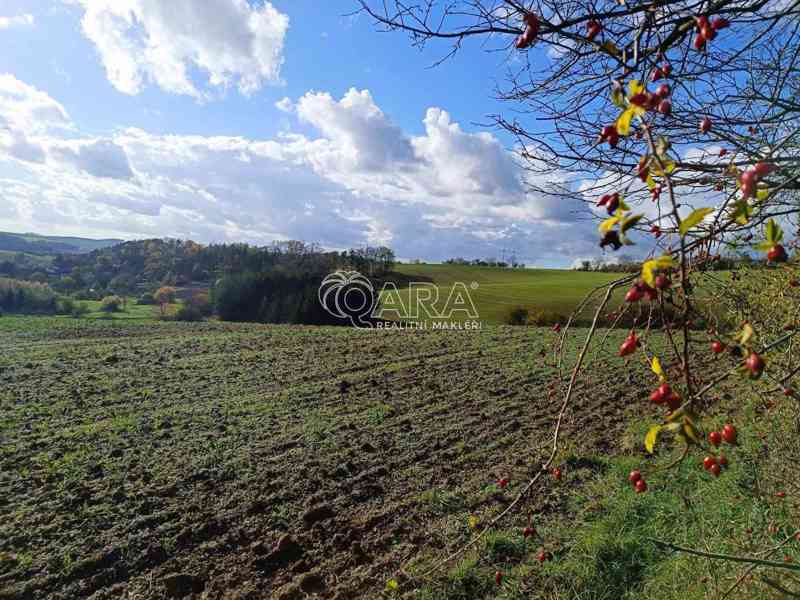 Zemědělská půda o rozloze 8.583m2 Chvalnov - Lísky - foto 1