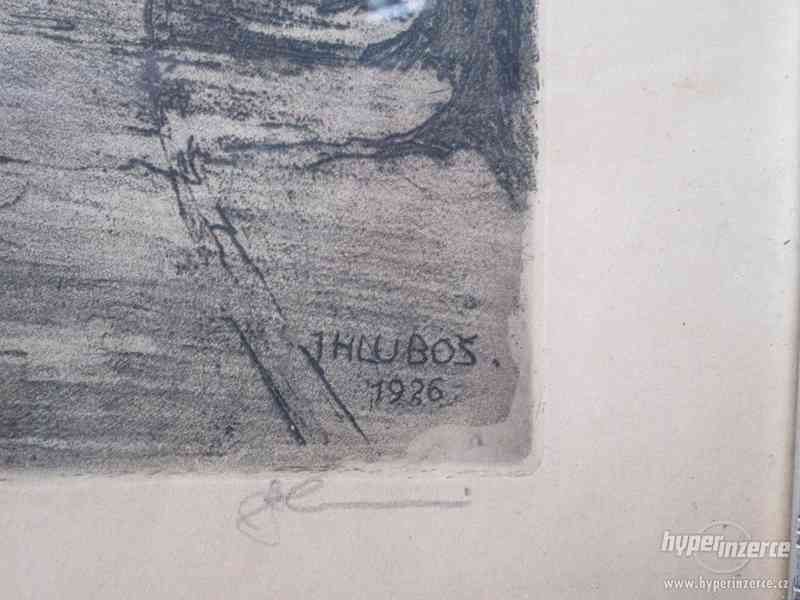 prodej obrazů - foto 6