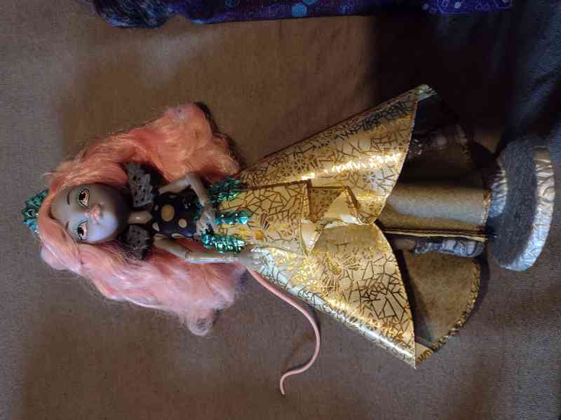 Monster high, Rainbow High  - foto 11