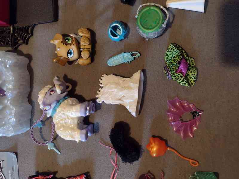 Monster high, Rainbow High  - foto 18