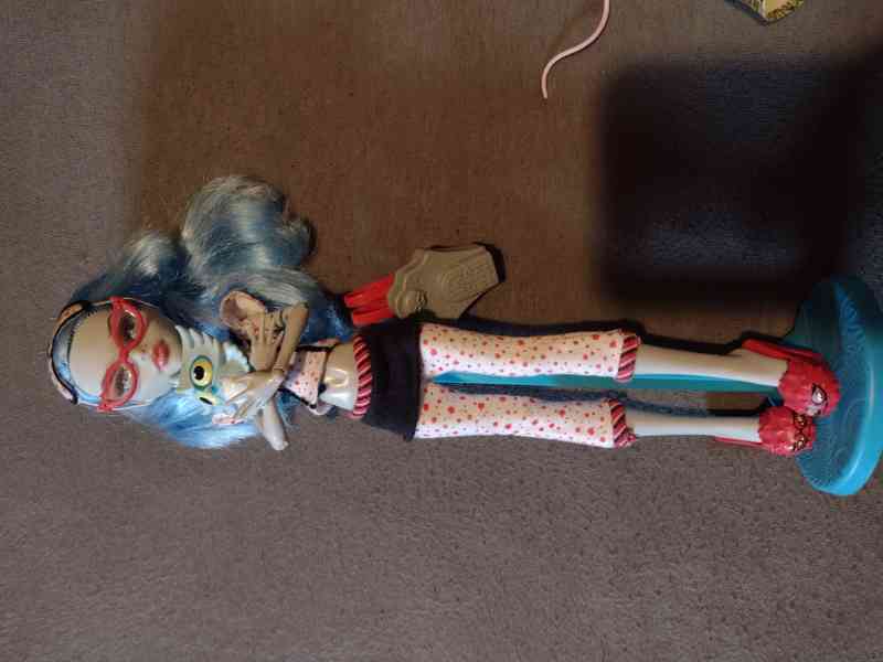 Monster high, Rainbow High  - foto 10