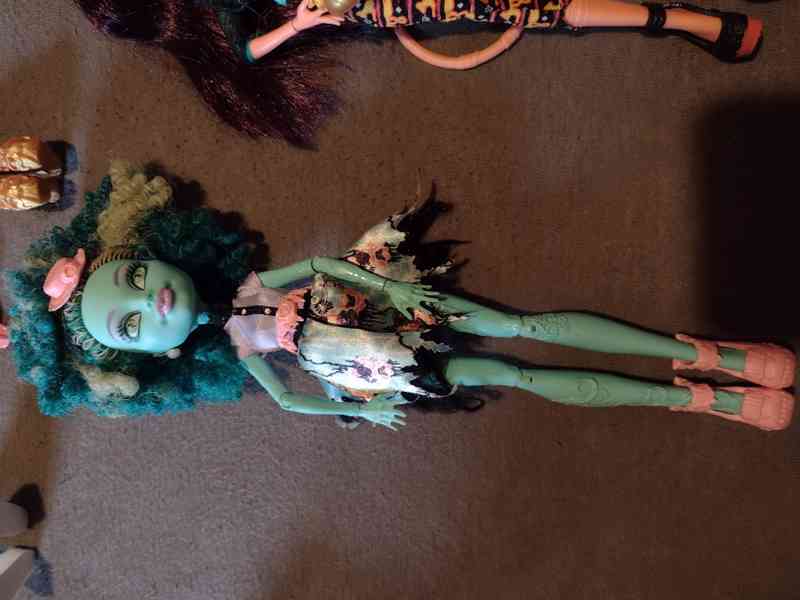 Monster high, Rainbow High  - foto 5