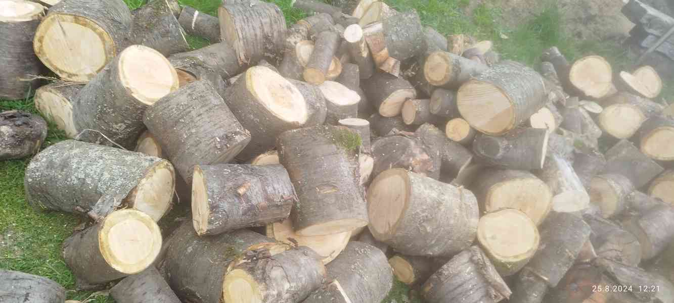Jarní akce - palivové dřevo - foto 6
