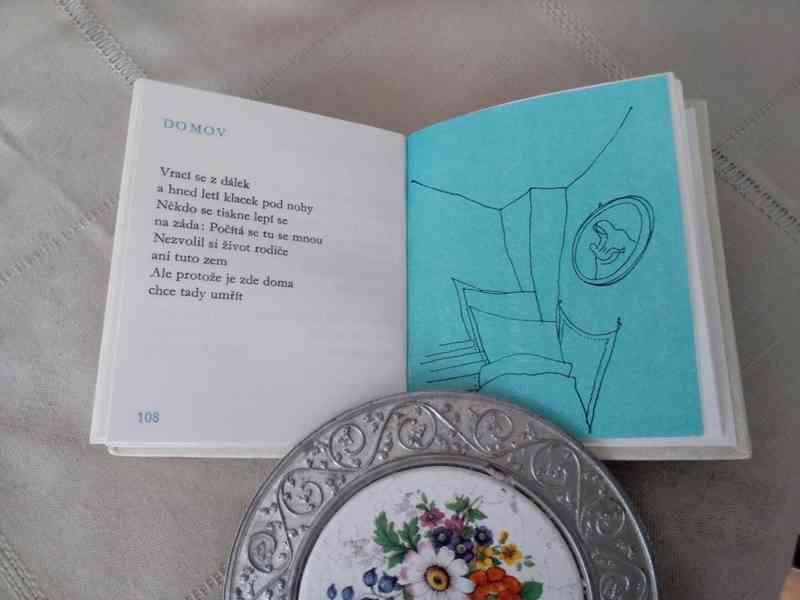Rybí oko - poesie (kolibřík) - foto 5