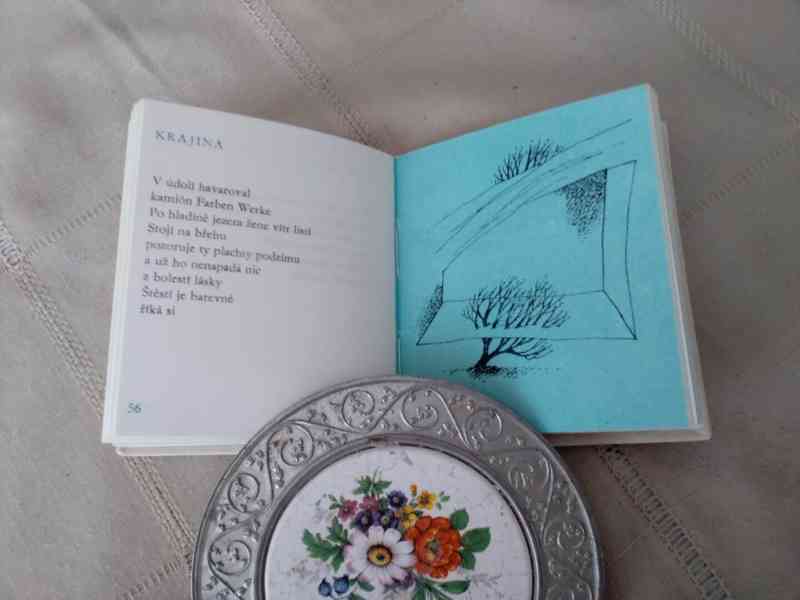 Rybí oko - poesie (kolibřík) - foto 4
