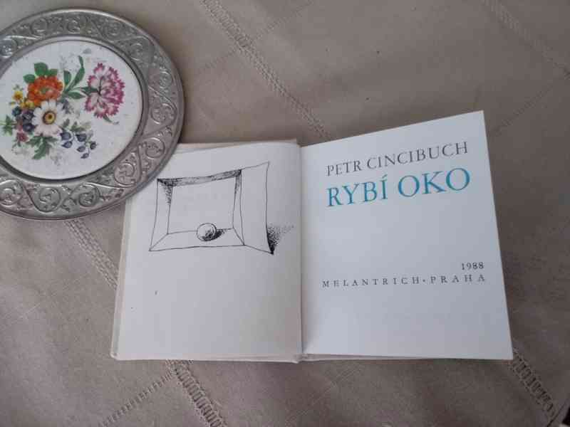Rybí oko - poesie (kolibřík) - foto 3