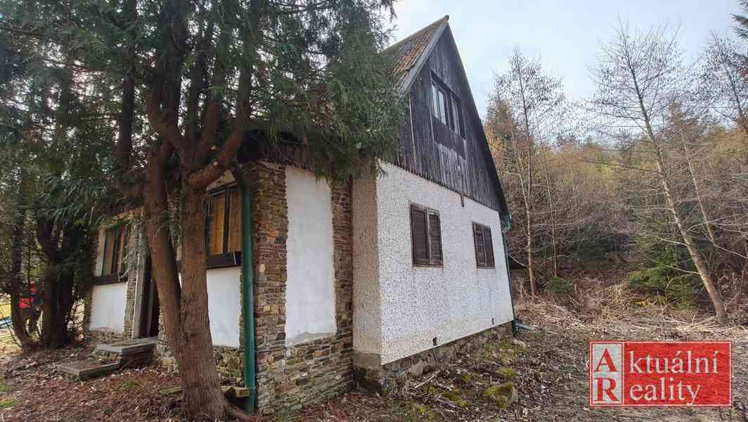 Chata, Borovnice - foto 4