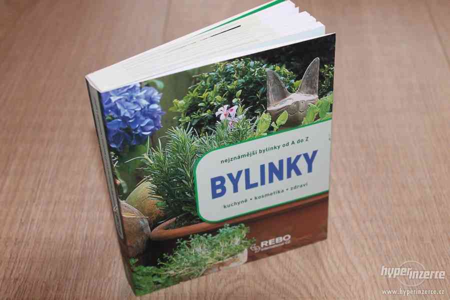 Bylinky - lexikon, Rausch Andrea, Lotz Brigitte - foto 1