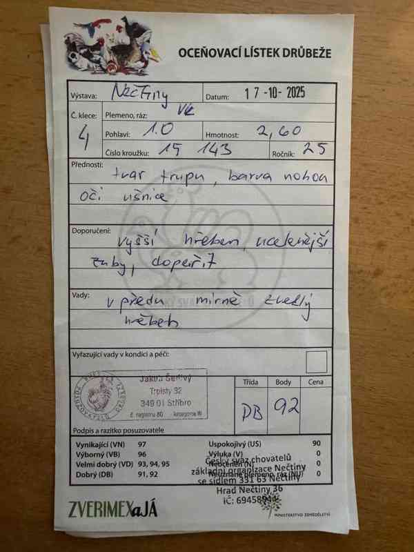 Vlaška koroptví - celý chovný kmen - foto 8