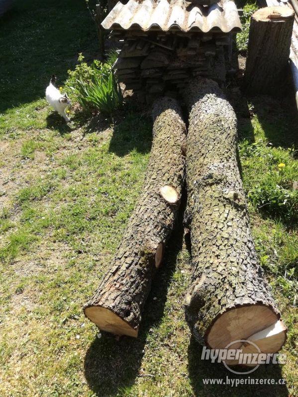 Dřevo pro řezbáře, truhláře -hrušeň - foto 1