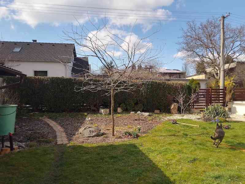 Tvarování okrasných dřevin