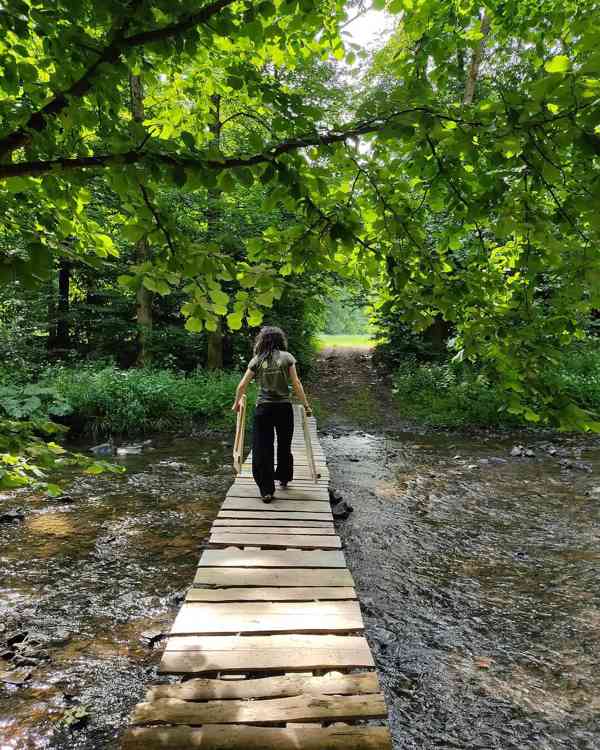 Letní tábor s TK Foxis - Úžasná Zeměplocha - foto 2