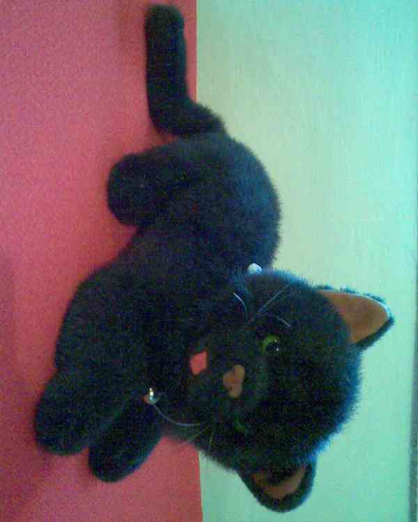 Plyšové hračky za 50% - foto 11