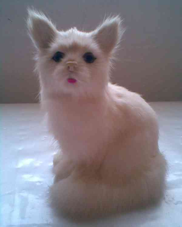 Plyšové hračky za 50% - foto 18