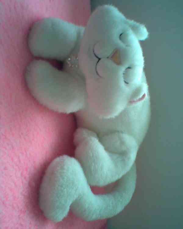 Plyšové hračky za 50% - foto 12