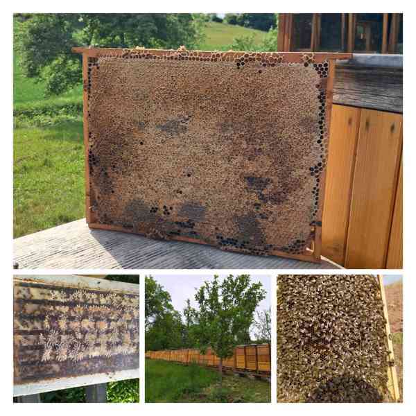 Oddělky 2026 - foto 2