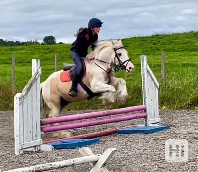 Citronová poleva s koňskými nudlemi - foto 1