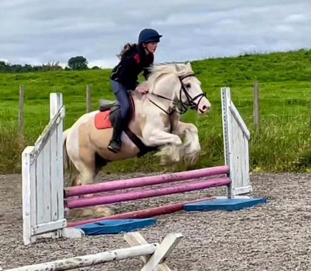 Citronová poleva s koňskými nudlemi - foto 1