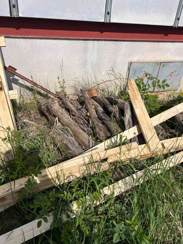 Palivové dřevo, zdarma za odvoz, Boršov nad Vltavou - foto 2