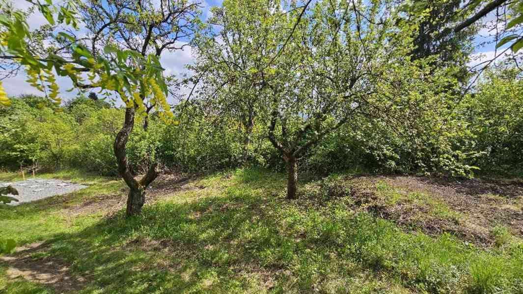 Chatka se zahradou 400m2 v Brně Lesné, vodovod, rovina, ovoc - foto 6