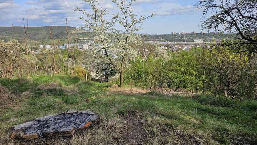 Chatka se zahradou 400m2 v Brně Lesné, vodovod, rovina, ovoc - foto 5