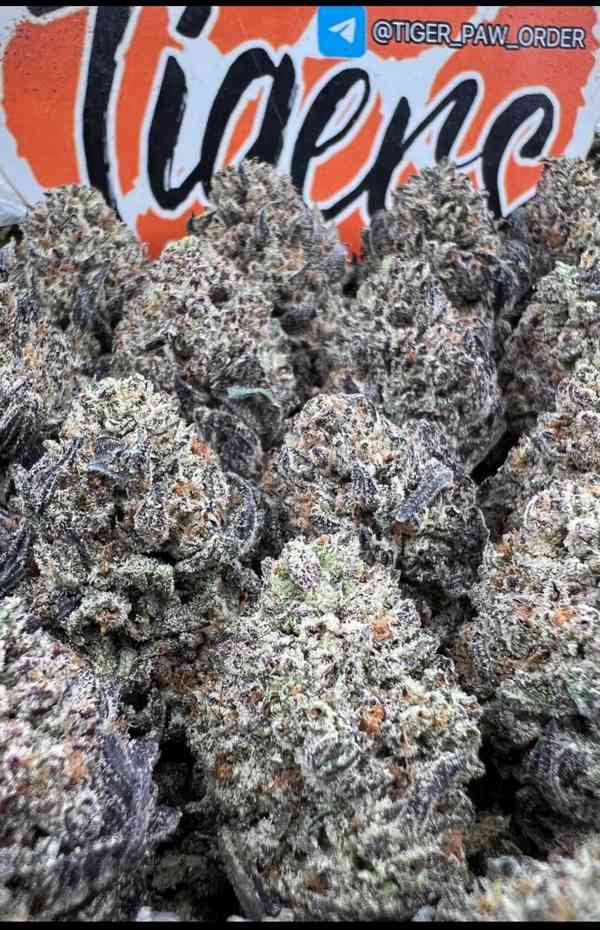 whatsapp +49 163 0221373 buy cannabis  Berlin