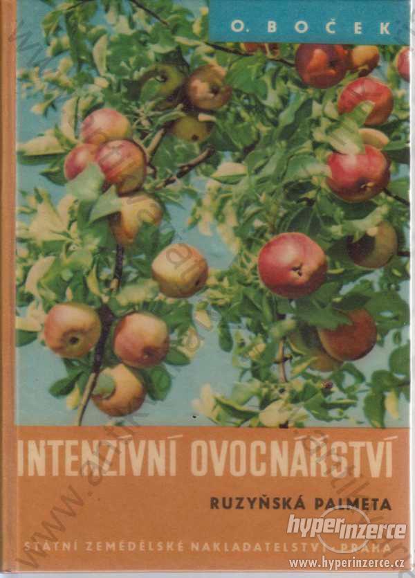 Intenzívní ovocnářství Otto Boček SZN, Praha 1958 - foto 1