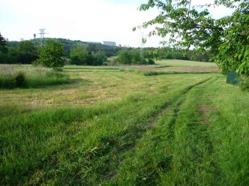 Parcela 8192 m2, poblíž lesa,  lze i menší - foto 2