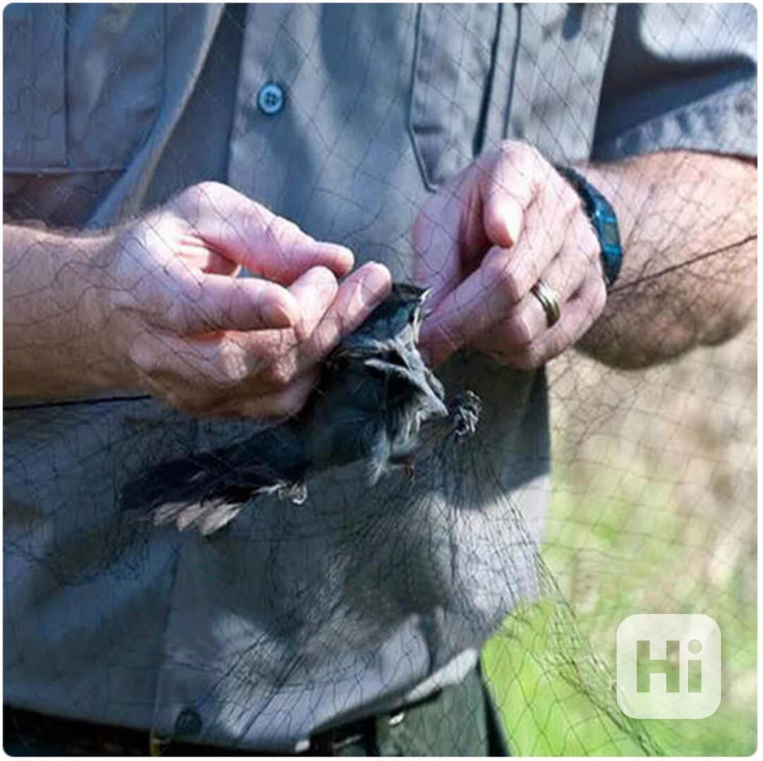 Síť k odchytu malých ptáků 10 x 3 metrů Ornitologická síť - foto 1