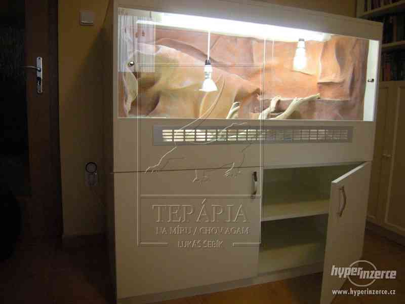 Terária na míru - foto 6