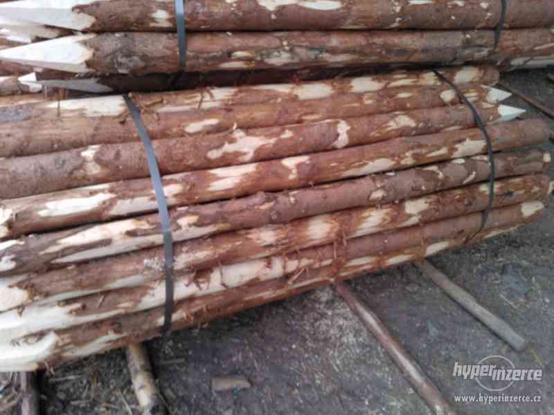 Levně stavební a palivové dřevo, trámy, prkna, loupané kůly - foto 16