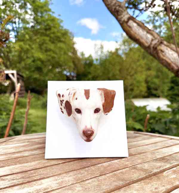 3D fotografie a figurky domácích mazlíčků - foto 6