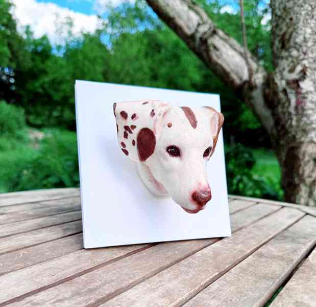 3D fotografie a figurky domácích mazlíčků - foto 5