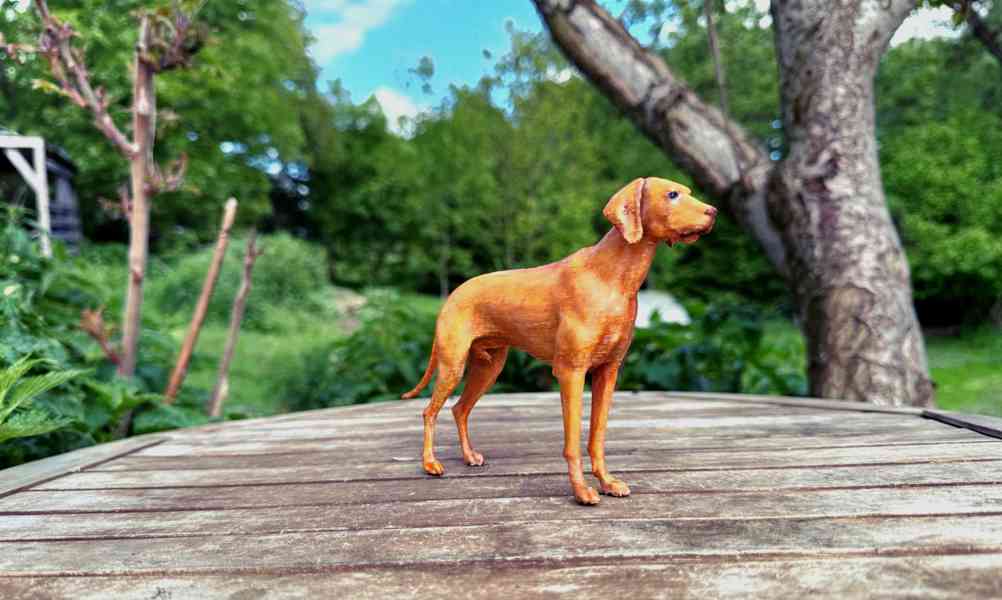 3D fotografie a figurky domácích mazlíčků - foto 7