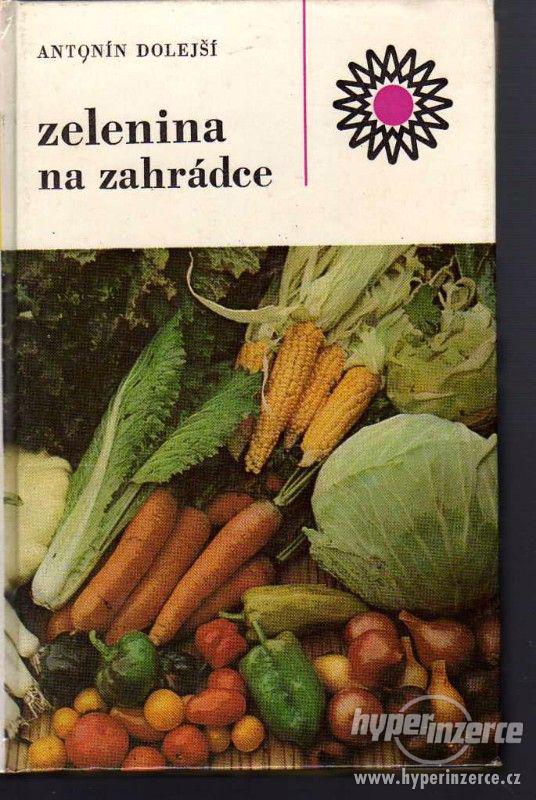 Zelenina na zahrádce  Antonín Dolejší - 1984