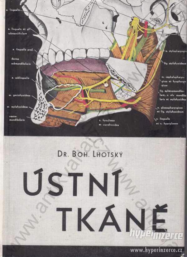 Ústní tkáně Dr. Bohumil Lhotský 1950 - foto 1